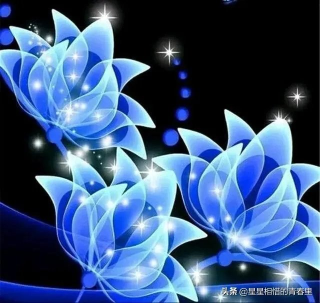 你喜欢沈春阳主演的哪部电视剧?