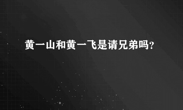 黄一山和黄一飞是请兄弟吗？