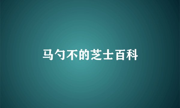 马勺不的芝士百科