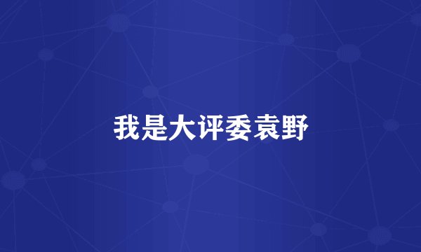 我是大评委袁野