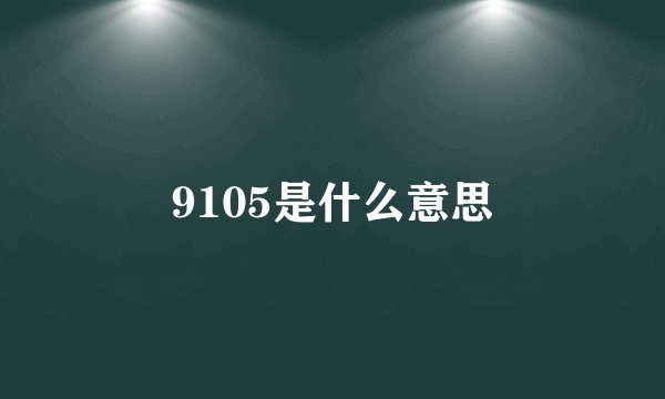9105是什么意思