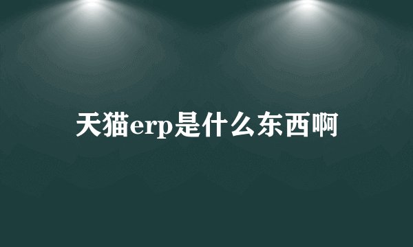 天猫erp是什么东西啊