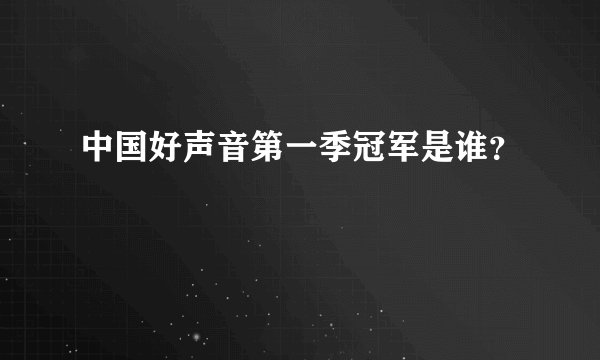中国好声音第一季冠军是谁？