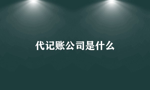 代记账公司是什么