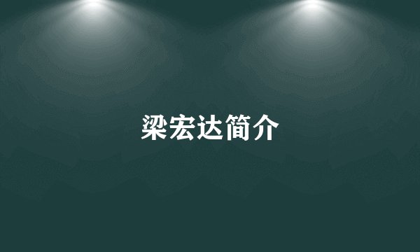 梁宏达简介