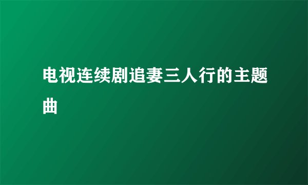 电视连续剧追妻三人行的主题曲