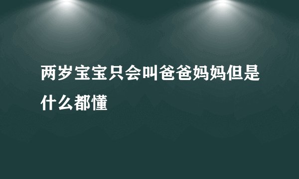 两岁宝宝只会叫爸爸妈妈但是什么都懂