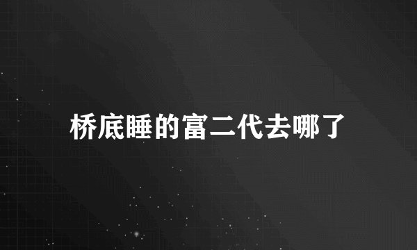 桥底睡的富二代去哪了