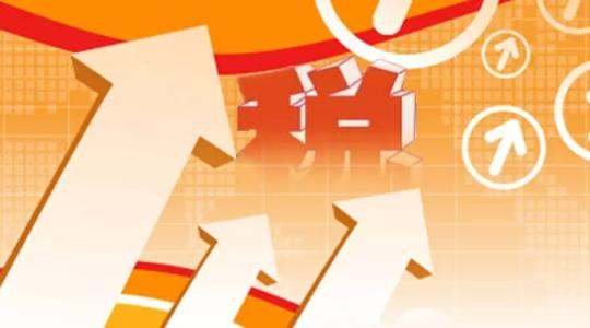 国家税务总局网站