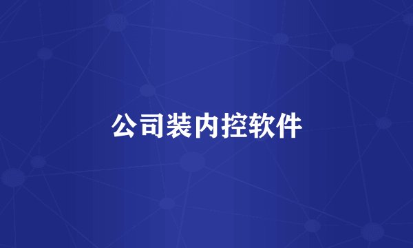 公司装内控软件