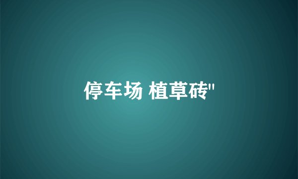 停车场 植草砖
