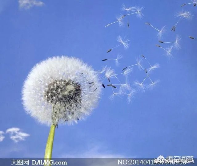 上联：缘来缘去缘已尽，如何对下联？