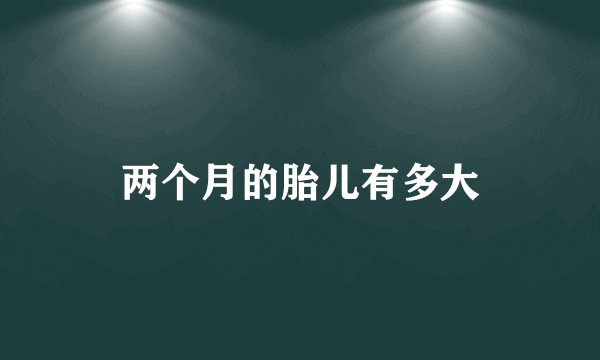 两个月的胎儿有多大