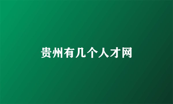贵州有几个人才网