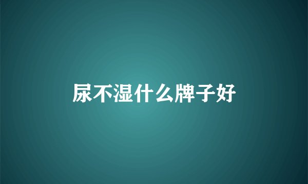 尿不湿什么牌子好