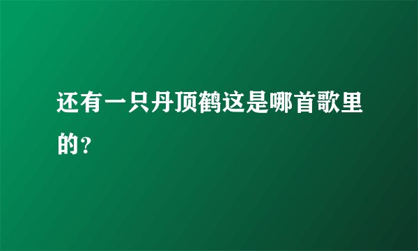 还有一只丹顶鹤这是哪首歌里的？