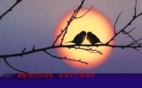 是你的终究是你的，不是你的始终不是你的。用格言概括一下