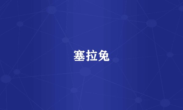 塞拉兔