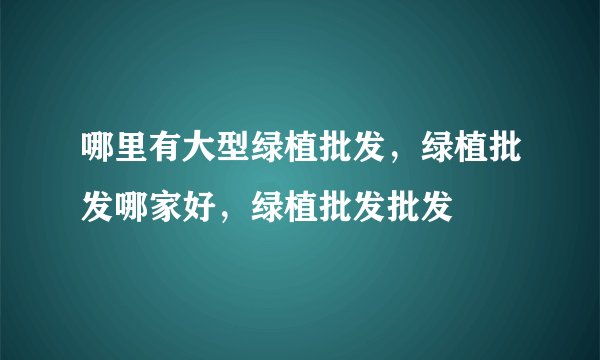 哪里有大型绿植批发,绿植批发哪家好,绿植批发批发