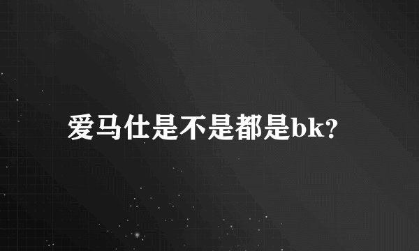 爱马仕是不是都是bk？