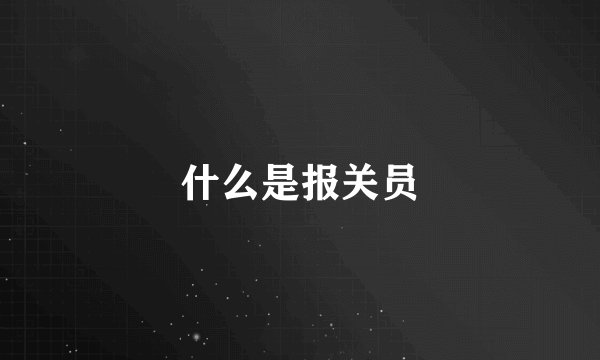 什么是报关员