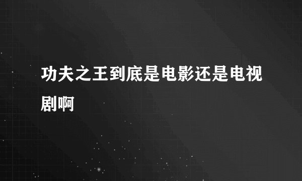 功夫之王到底是电影还是电视剧啊