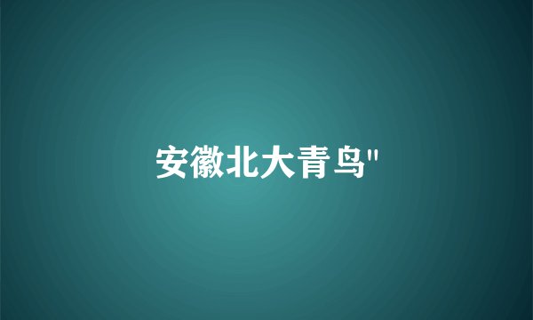 安徽北大青鸟