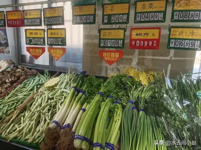 菜价上涨严重,到底是什么原因?