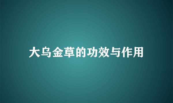 大乌金草的功效与作用
