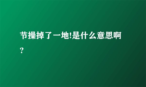 节操掉了一地!是什么意思啊?