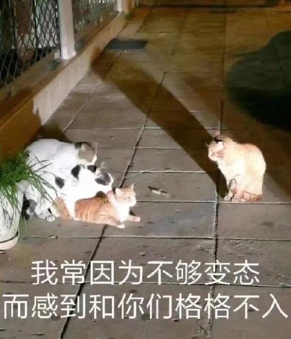 上原亚衣教你开胯深蹲 动图 不先舔舔吹着能舒服吗？