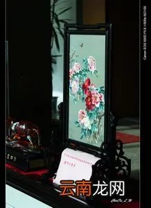 佳能摄像机型号大全 佳能摄像机型号