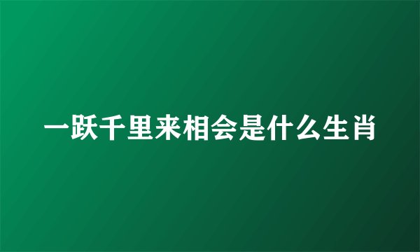 一跃千里来相会是什么生肖