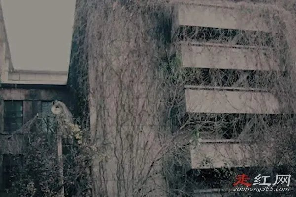 沈阳鬼楼现在有人住吗 事件真相怎么回事揭秘
