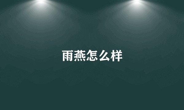 雨燕怎么样