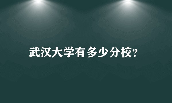 武汉大学有多少分校？