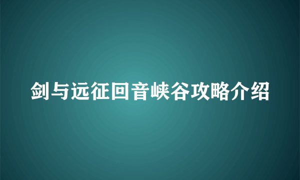 剑与远征回音峡谷攻略介绍