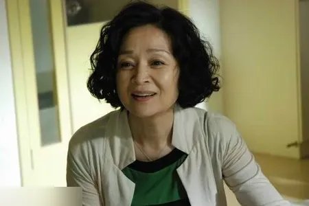 刘莉莉主演的电视剧全部有哪些?