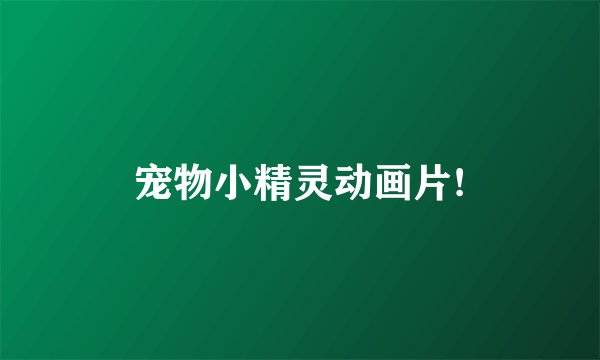 宠物小精灵动画片!