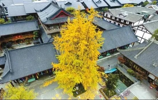 2016年中国10大幸福城市出炉，成都凭什么又最幸福？