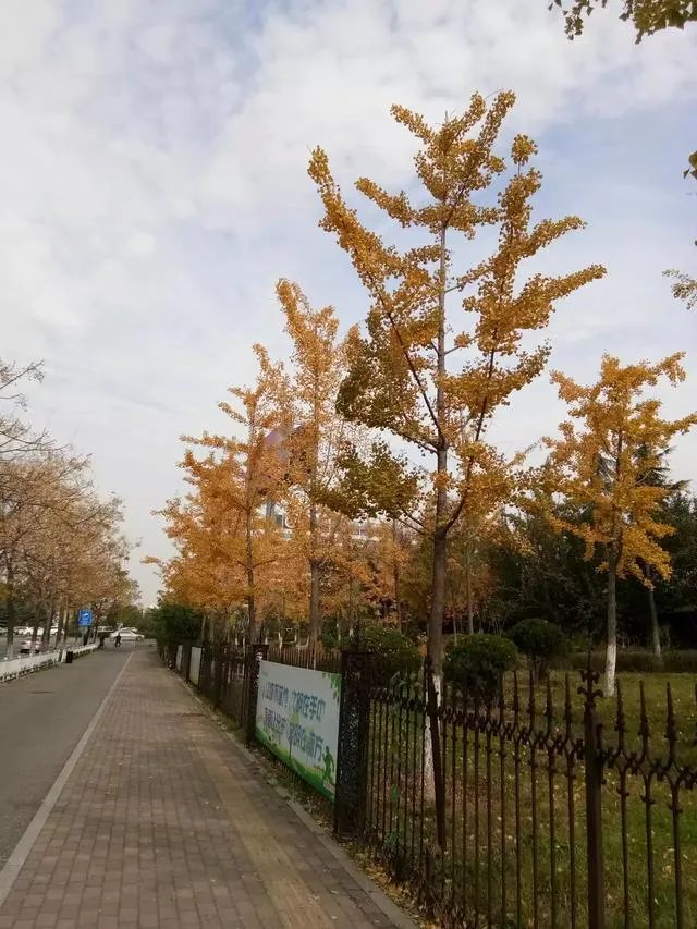 道路建设，让城市更美好，如何评价济南的道路规划？