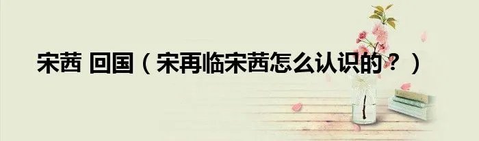 宋茜 回国（宋再临宋茜怎么认识的？）