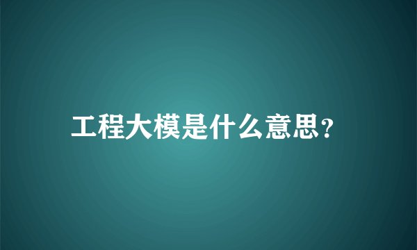 工程大模是什么意思？