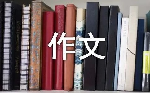 赏月的作文