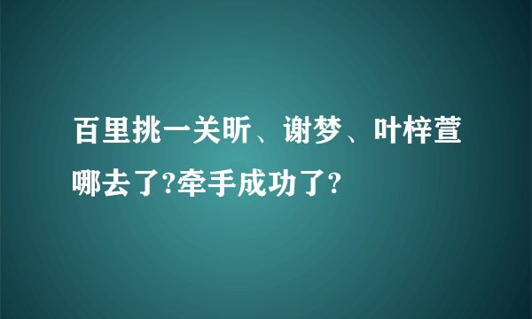 百里挑一关昕、谢梦、叶梓萱哪去了?牵手成功了?
