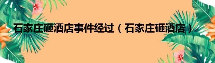石家庄砸酒店事件经过（石家庄砸酒店）