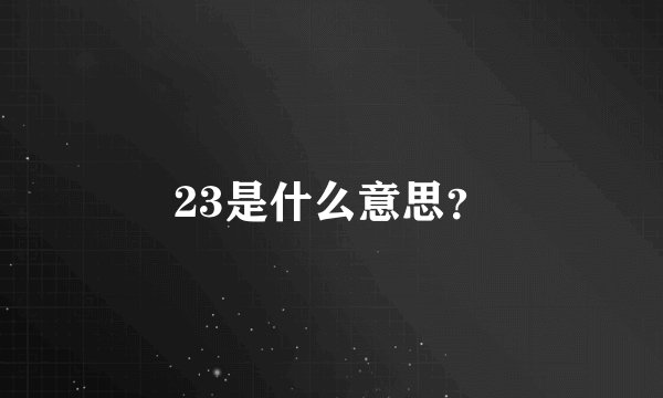 23是什么意思？