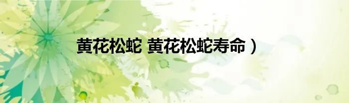 黄花松蛇 黄花松蛇寿命)