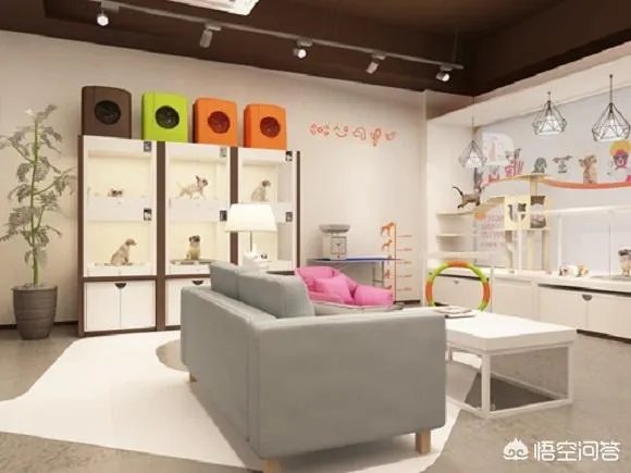 加盟一个宠物店或者自己开一个需要多少钱？