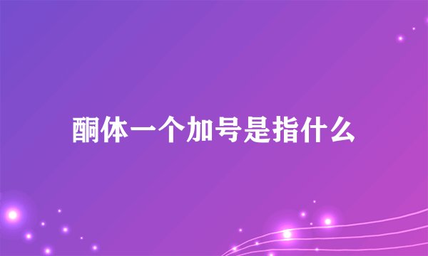 酮体一个加号是指什么